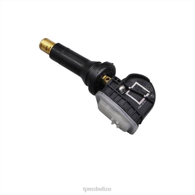 TPMS Sensor Price - TPMS Haval/GWM The Pressure Sensor 3641100XKU00B 433MHZ 22LH1695