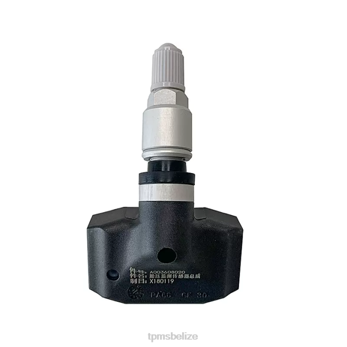 TPMS Belize - TPMS Leopaard The Pressure Sensor A003608020 433MHZ 22LH1771