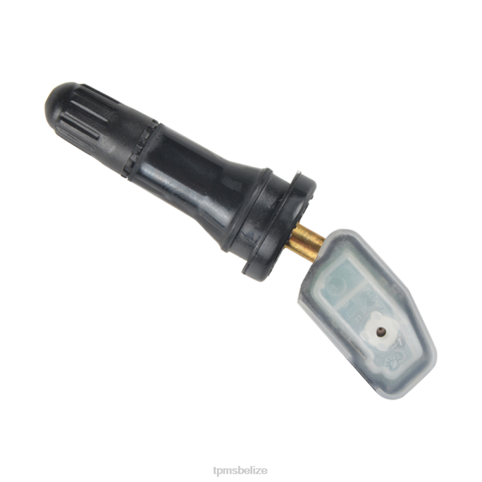 Tire Pressure Sensor Location - TPMS Southeast Tire Pressure Sensor 25M01A031A 22LH1250