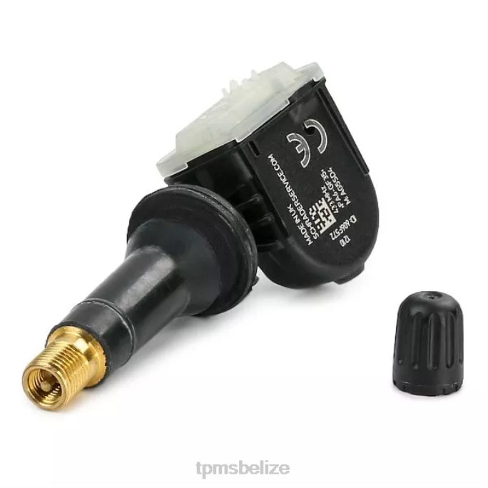 TPMS Sensor Replacement - TPMS Traum The Pressure Sensor 3617020001S301 433MHZ 22LH1793