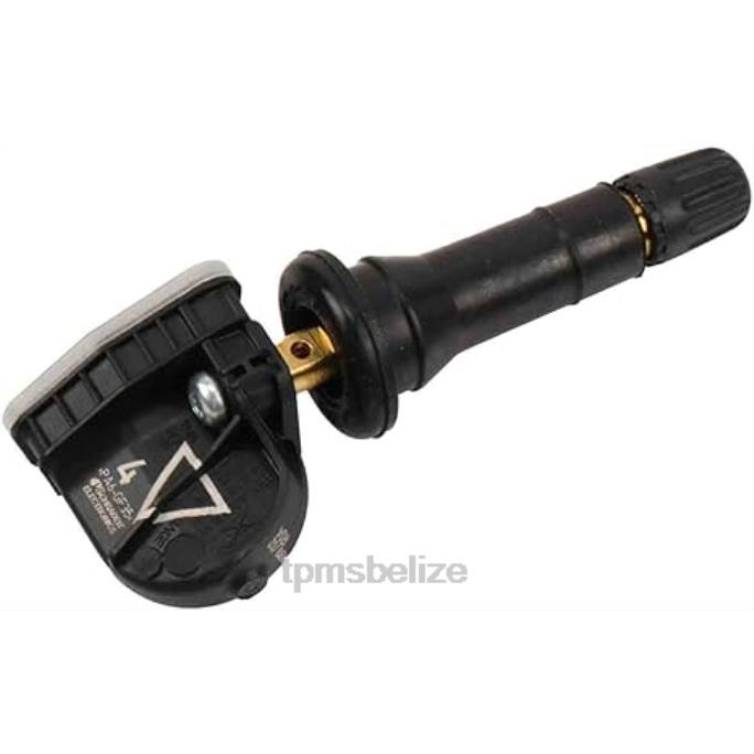 TPMS Sensor Location - TPMS Chevrolet/Cadillac/GMC Tire Pressure Sensor 13598773 22LH1317