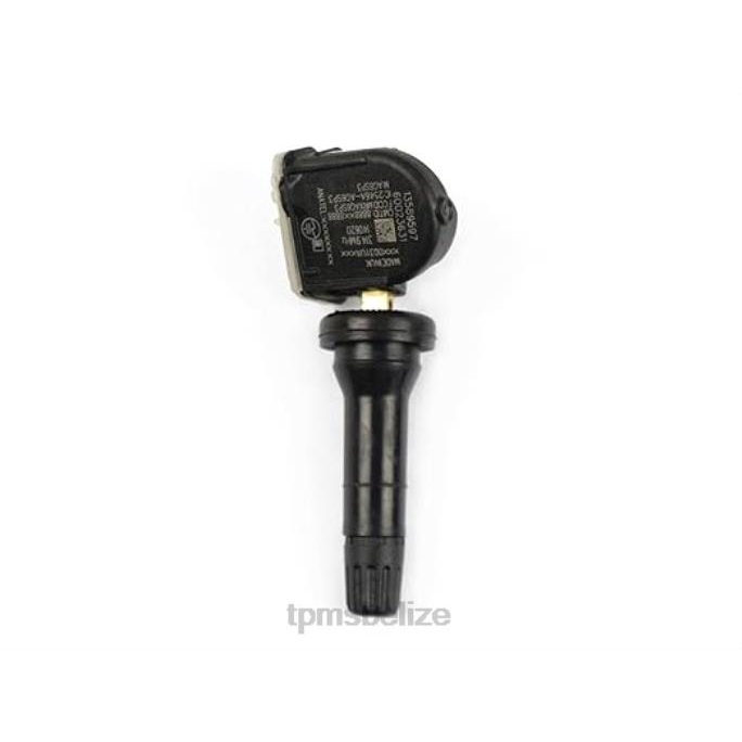 TPMS Sensor Tool - TPMS Buick/Cadillac/Chevrolet/GMC Tire Pressure Sensor 13589597 22LH1334