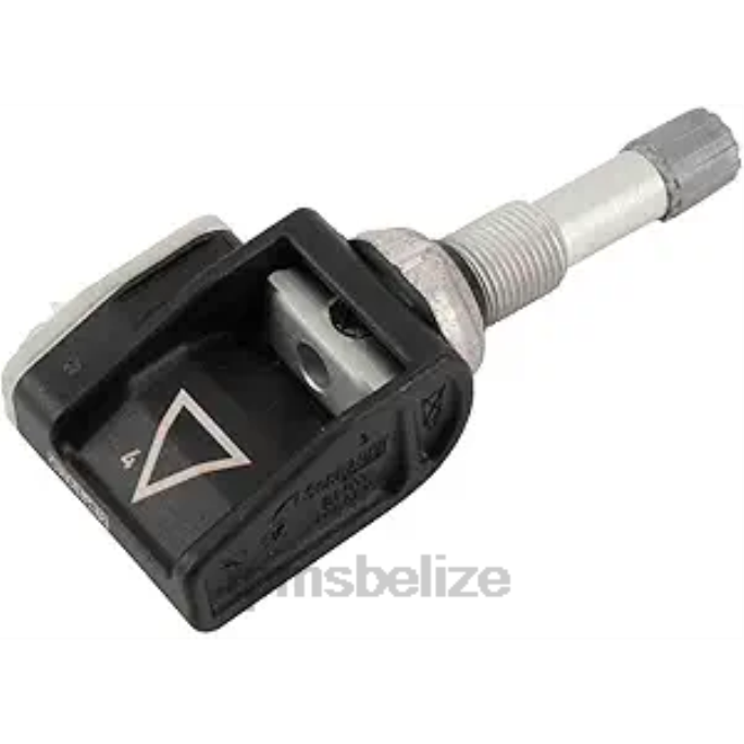 TPMS Sensor Tool - TPMS Buick/Cadillac/Chevrolet Tire Pressure Sensor 13598787 22LH1344