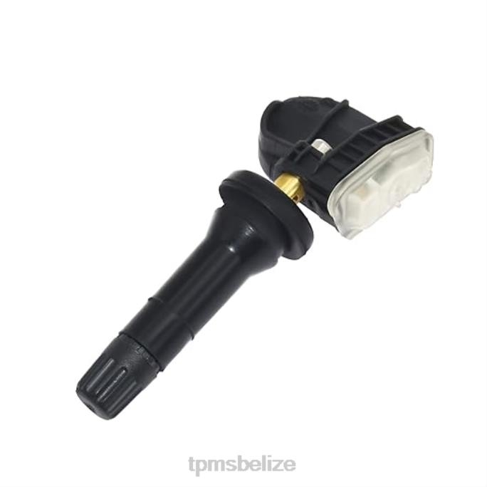 Tire Pressure Sensor Location - TPMS Buick/Cadillac/Chevrolet/GMC Tire Pressure Sensor 13516164 22LH1340