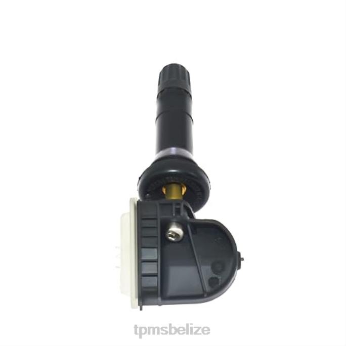 Tire Pressure Sensor Location - TPMS Buick/Cadillac/Chevrolet/GMC Tire Pressure Sensor 13516164 22LH1340