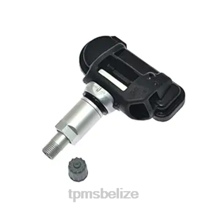 Tire Pressure Sensor Location - TPMS Chevrolet Tire Pressure Sensor 13581560 22LH1390