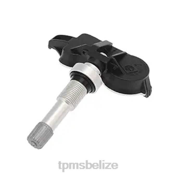 Tire Pressure Sensor Replacement - TPMS Buick/Chevrolet Tire Pressure Sensor 26670584 22LH1378