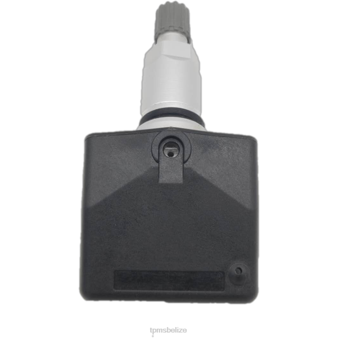 Tire Pressure Sensor Tool - TPMS Chevrolet/Cadillac Tire Pressure Sensor 13348393 22LH1389