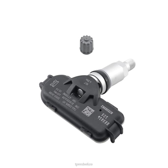 TPMS Belize - TPMS Hyundai The Pressure Sensor 529333X300 448MHZ 22LH1671